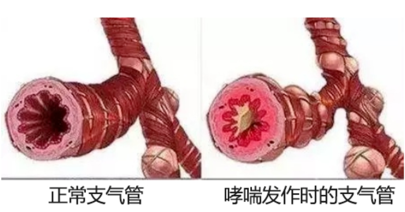 &#31859;&#20848;&#23448;&#26041;&#31449;&#32593;&#39029;&#29256;&#45;&#31859;&#20848;&#40;&#20013;&#22269;&#41;