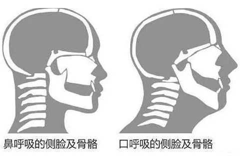 &#31859;&#20848;&#23448;&#26041;&#31449;&#32593;&#39029;&#29256;&#45;&#31859;&#20848;&#40;&#20013;&#22269;&#41;