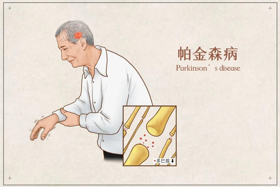 &#31859;&#20848;&#23448;&#26041;&#31449;&#32593;&#39029;&#29256;&#45;&#31859;&#20848;&#40;&#20013;&#22269;&#41;