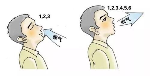 &#31859;&#20848;&#23448;&#26041;&#31449;&#32593;&#39029;&#29256;&#45;&#31859;&#20848;&#40;&#20013;&#22269;&#41;