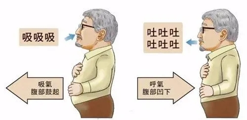 &#31859;&#20848;&#23448;&#26041;&#31449;&#32593;&#39029;&#29256;&#45;&#31859;&#20848;&#40;&#20013;&#22269;&#41;