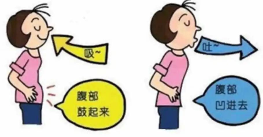 &#31859;&#20848;&#23448;&#26041;&#31449;&#32593;&#39029;&#29256;&#45;&#31859;&#20848;&#40;&#20013;&#22269;&#41;