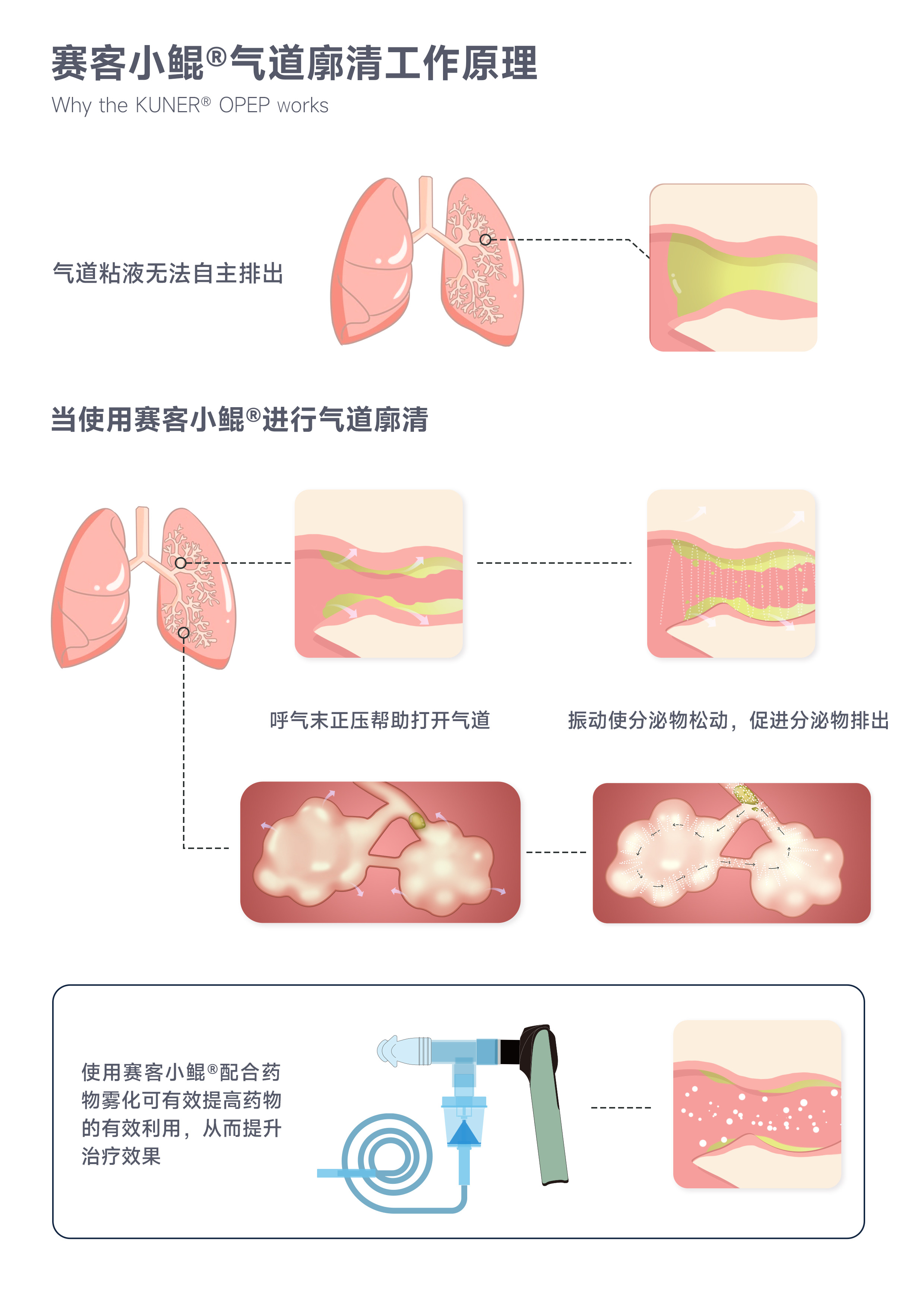 &#31859;&#20848;&#23448;&#26041;&#31449;&#32593;&#39029;&#29256;&#45;&#31859;&#20848;&#40;&#20013;&#22269;&#41;
