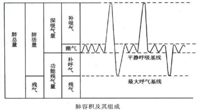 &#31859;&#20848;&#23448;&#26041;&#31449;&#32593;&#39029;&#29256;&#45;&#31859;&#20848;&#40;&#20013;&#22269;&#41;