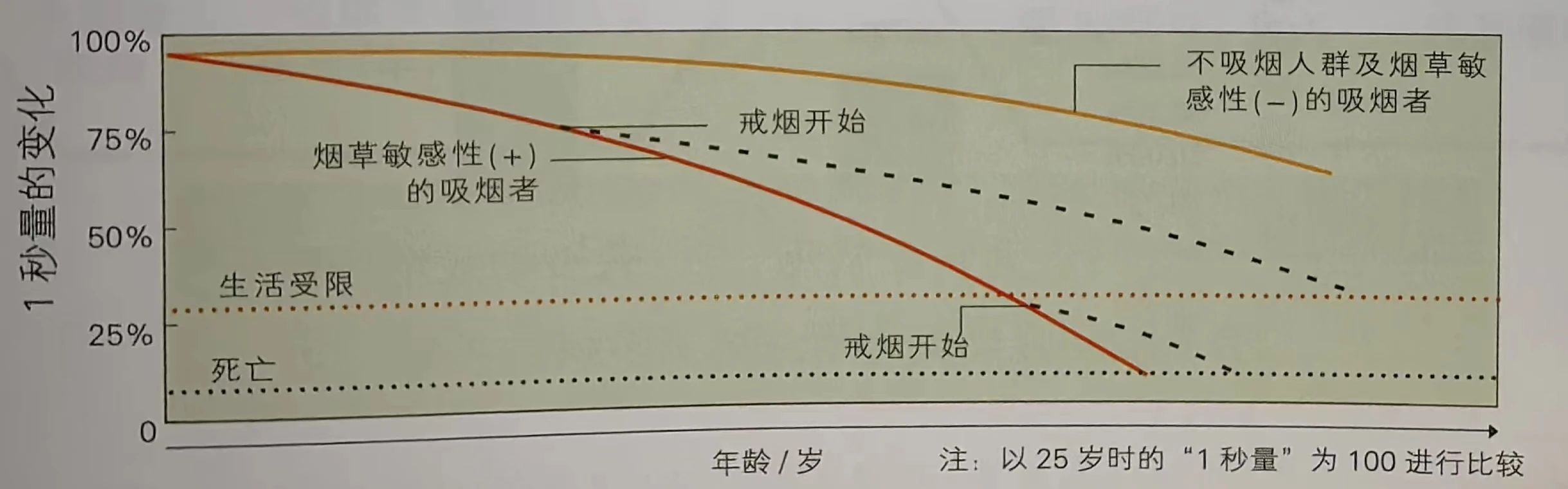 &#31859;&#20848;&#23448;&#26041;&#31449;&#32593;&#39029;&#29256;&#45;&#31859;&#20848;&#40;&#20013;&#22269;&#41;
