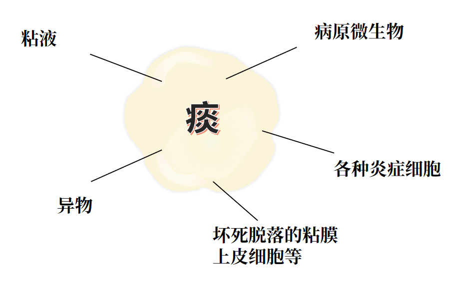 &#31859;&#20848;&#23448;&#26041;&#31449;&#32593;&#39029;&#29256;&#45;&#31859;&#20848;&#40;&#20013;&#22269;&#41;