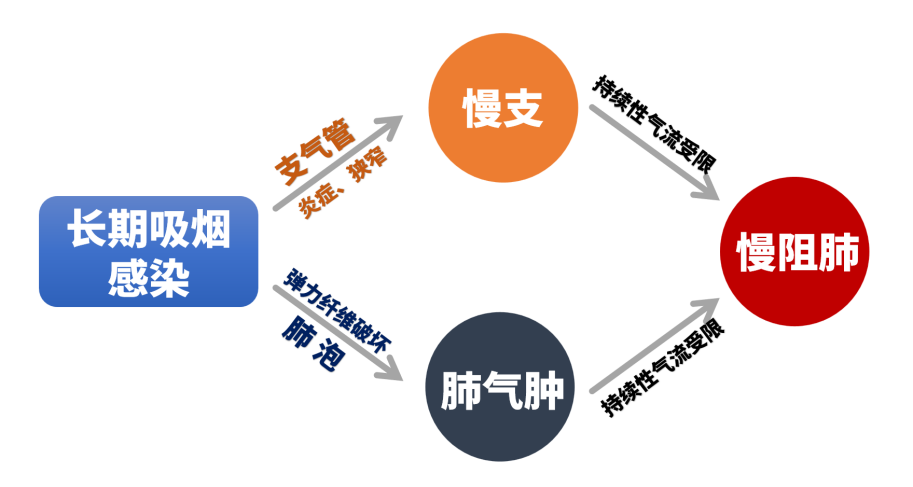 &#31859;&#20848;&#23448;&#26041;&#31449;&#32593;&#39029;&#29256;&#45;&#31859;&#20848;&#40;&#20013;&#22269;&#41;