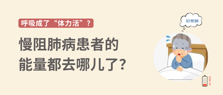 &#31859;&#20848;&#23448;&#26041;&#31449;&#32593;&#39029;&#29256;&#45;&#31859;&#20848;&#40;&#20013;&#22269;&#41;
